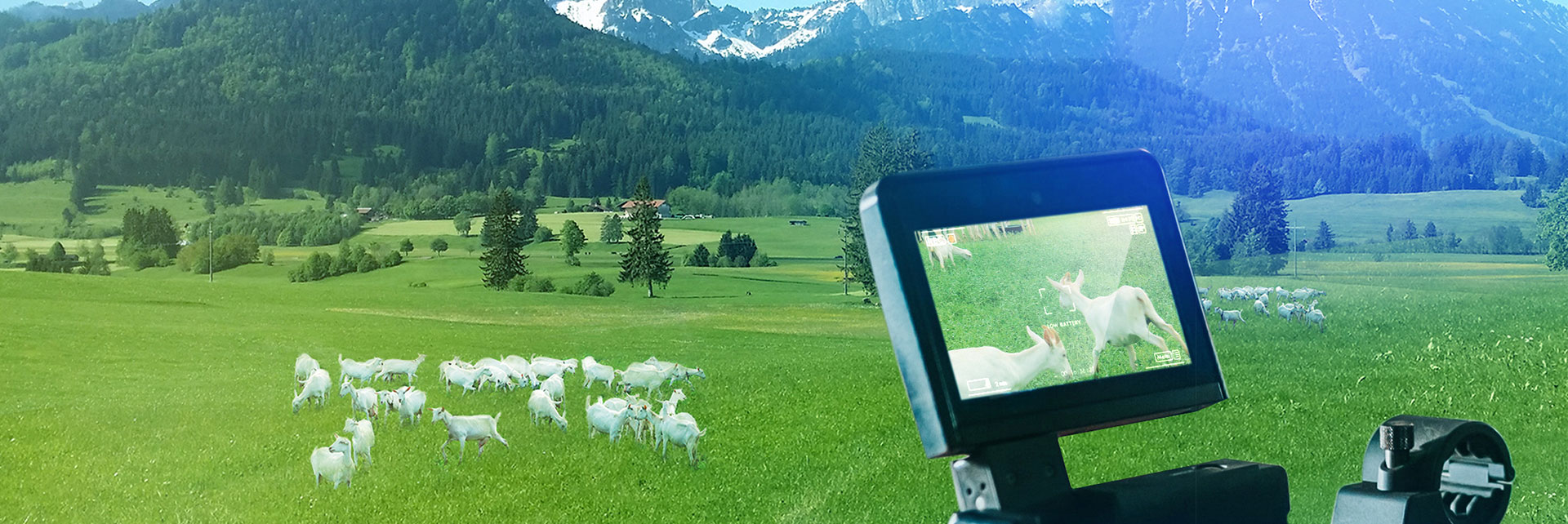 首页-SBOBET利记集团官方网站