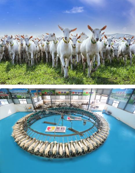 首页-SBOBET利记集团官方网站