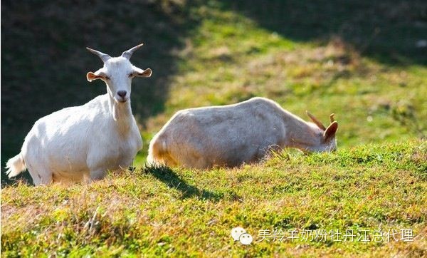 首页-SBOBET利记集团官方网站