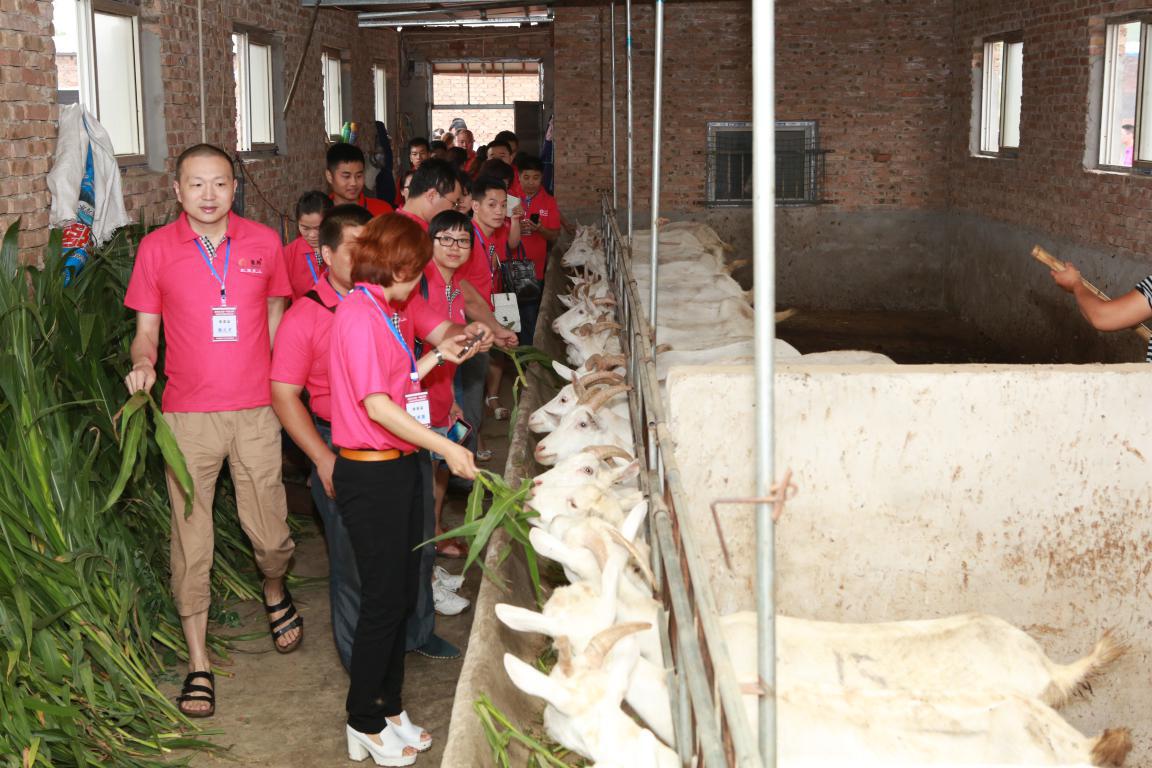 首页-SBOBET利记集团官方网站