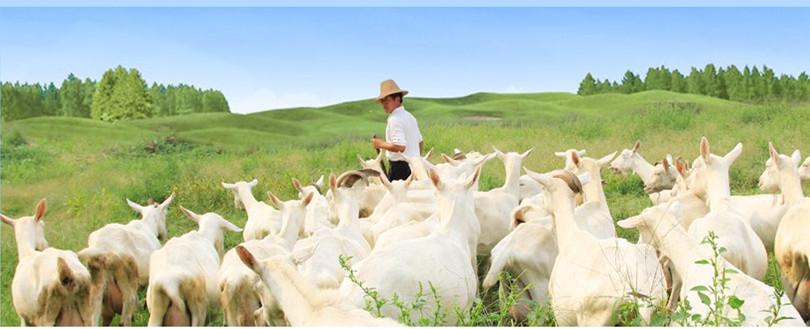 首页-SBOBET利记集团官方网站