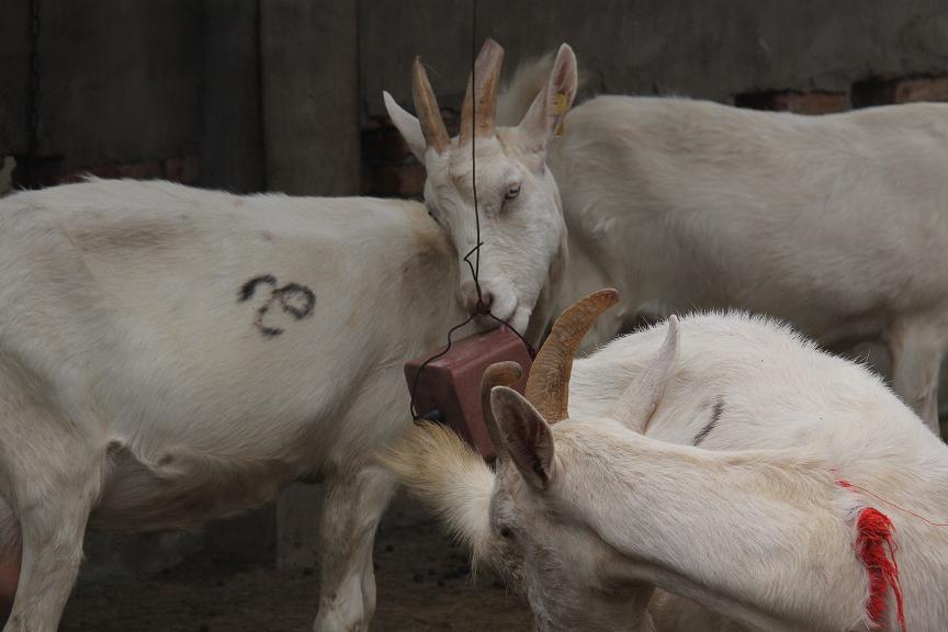 首页-SBOBET利记集团官方网站