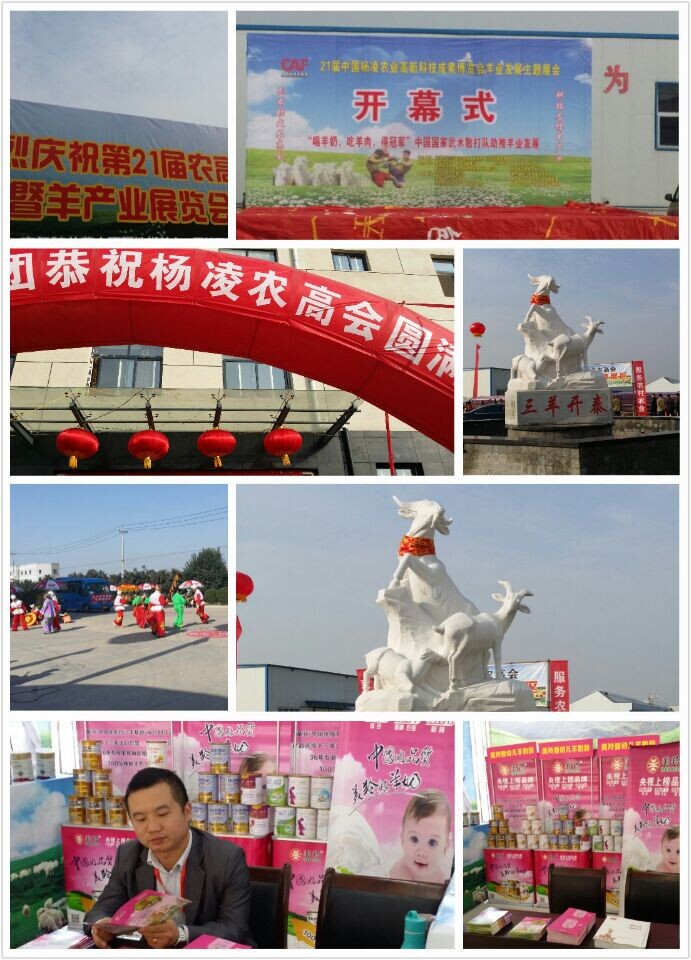 首页-SBOBET利记集团官方网站