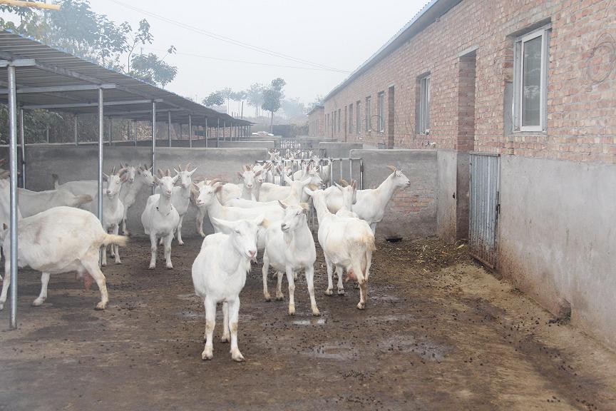 首页-SBOBET利记集团官方网站