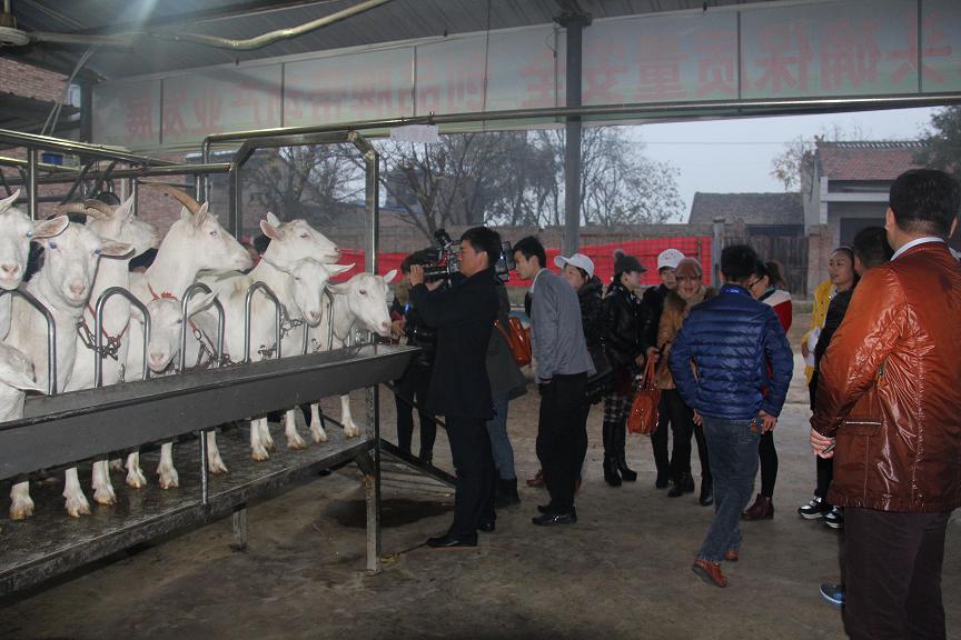 首页-SBOBET利记集团官方网站