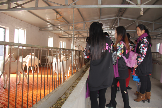 首页-SBOBET利记集团官方网站