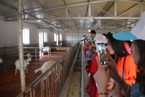 首页-SBOBET利记集团官方网站