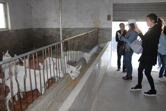 首页-SBOBET利记集团官方网站