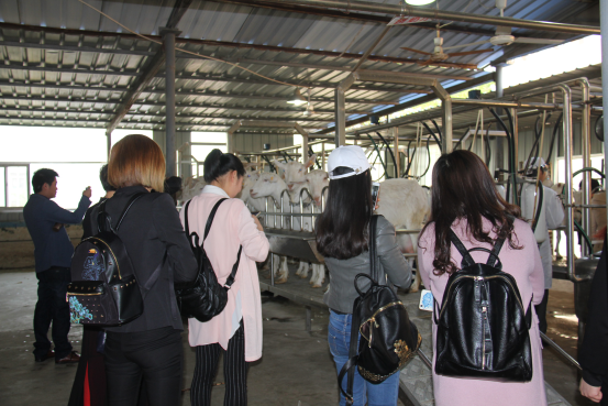 首页-SBOBET利记集团官方网站