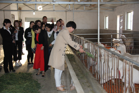 首页-SBOBET利记集团官方网站