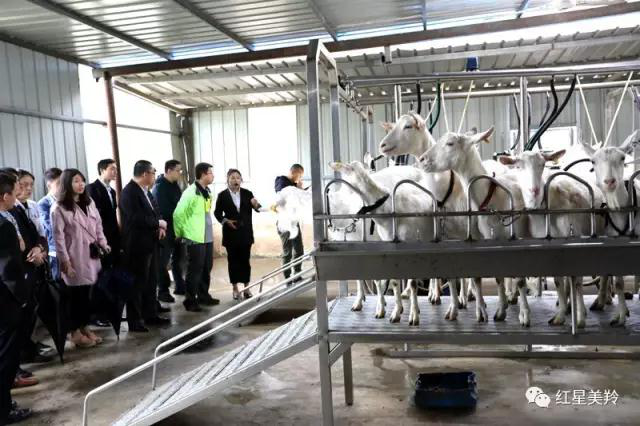 首页-SBOBET利记集团官方网站