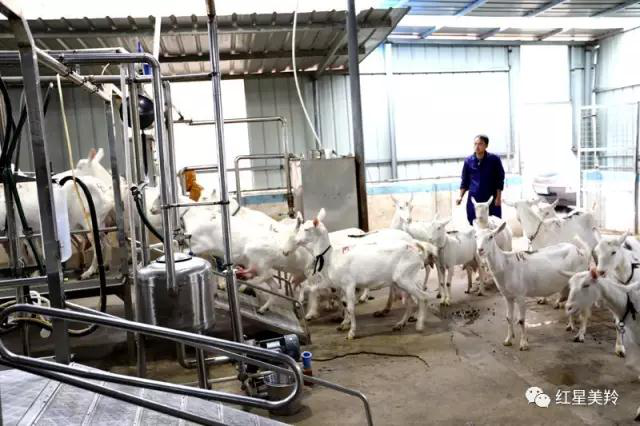 首页-SBOBET利记集团官方网站