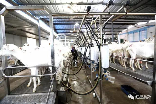 首页-SBOBET利记集团官方网站