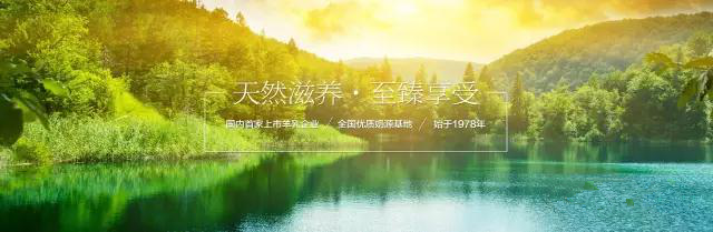 首页-SBOBET利记集团官方网站