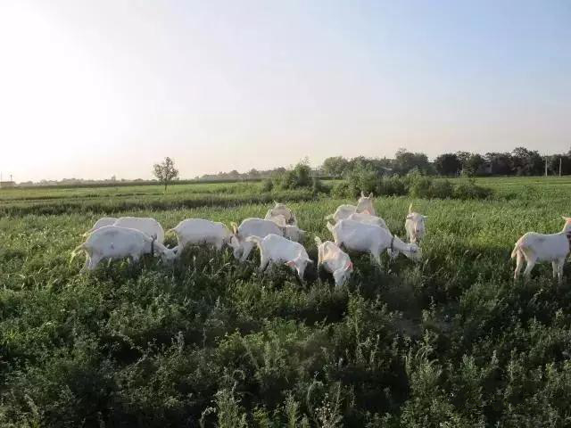 首页-SBOBET利记集团官方网站