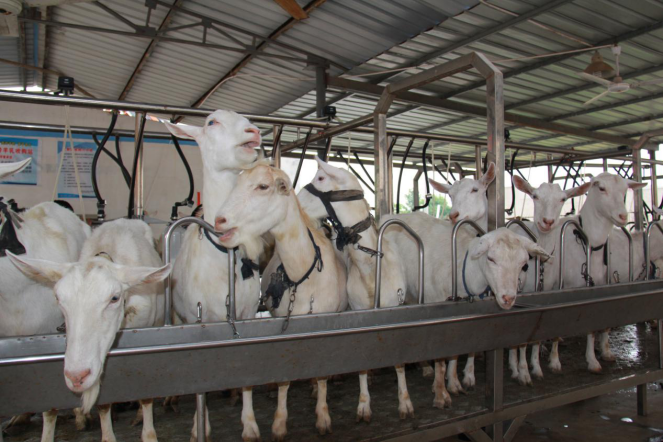 首页-SBOBET利记集团官方网站