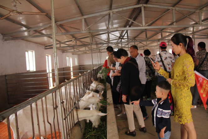 首页-SBOBET利记集团官方网站