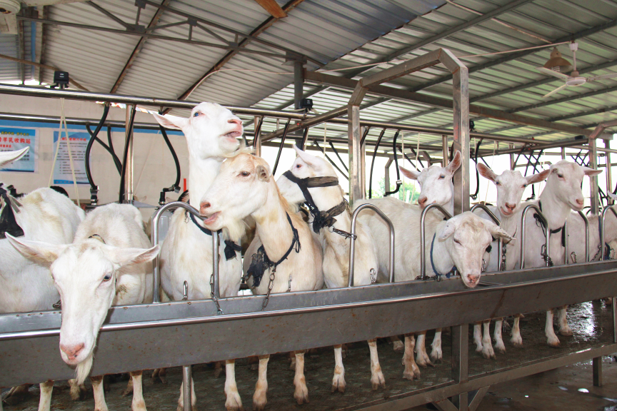 首页-SBOBET利记集团官方网站