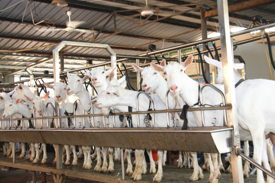 首页-SBOBET利记集团官方网站