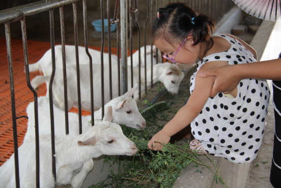 首页-SBOBET利记集团官方网站