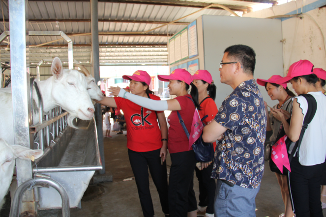 首页-SBOBET利记集团官方网站