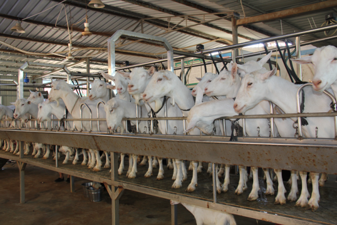 首页-SBOBET利记集团官方网站