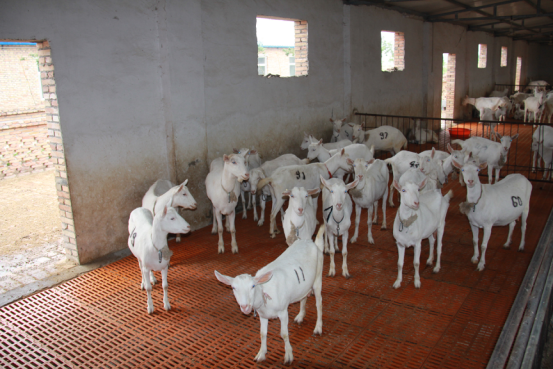 首页-SBOBET利记集团官方网站