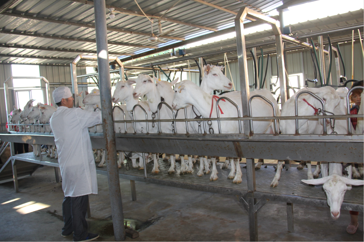 首页-SBOBET利记集团官方网站