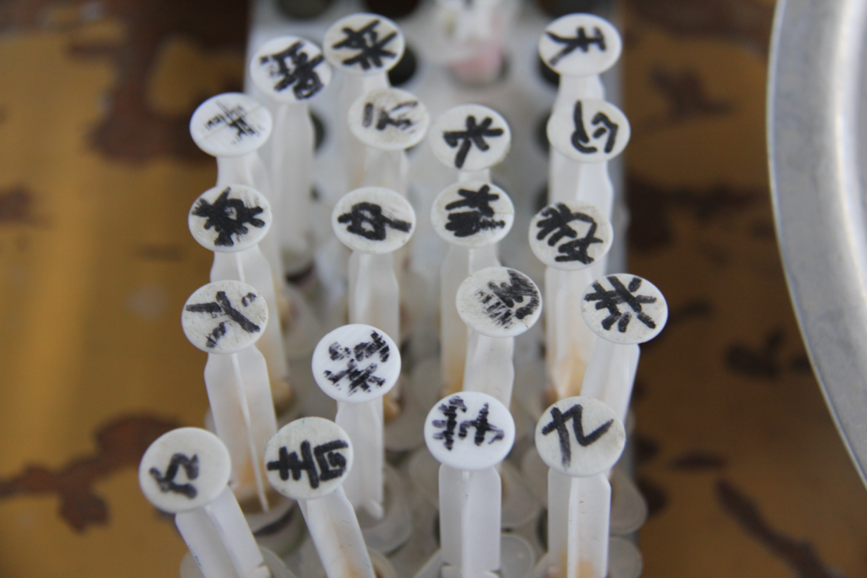 首页-SBOBET利记集团官方网站