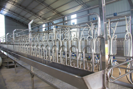 首页-SBOBET利记集团官方网站