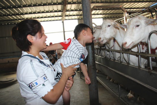 首页-SBOBET利记集团官方网站