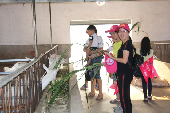 首页-SBOBET利记集团官方网站