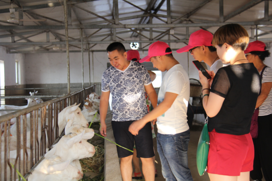 首页-SBOBET利记集团官方网站