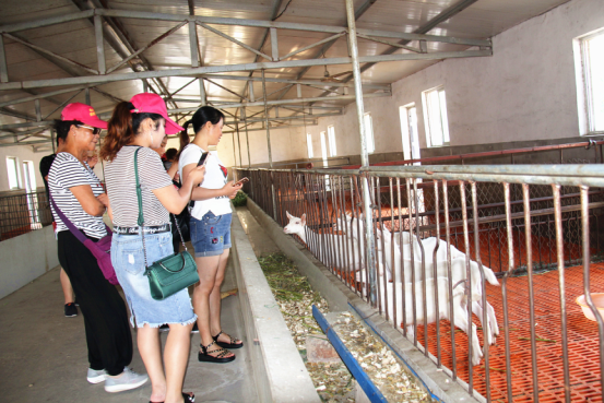 首页-SBOBET利记集团官方网站