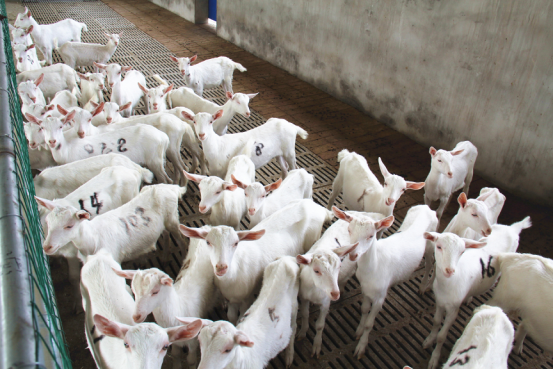 首页-SBOBET利记集团官方网站