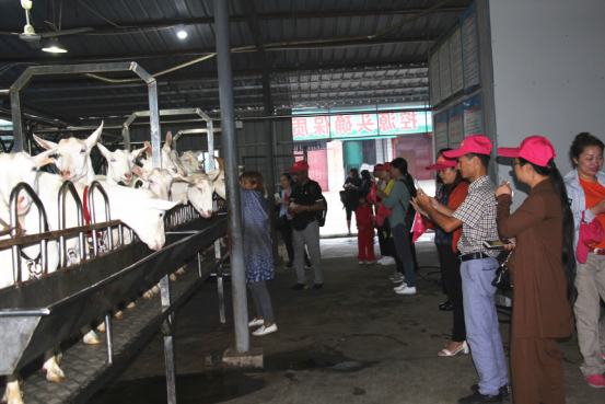 首页-SBOBET利记集团官方网站