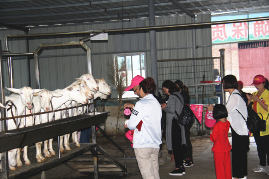 首页-SBOBET利记集团官方网站