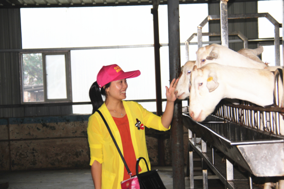 首页-SBOBET利记集团官方网站