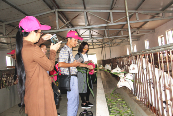 首页-SBOBET利记集团官方网站