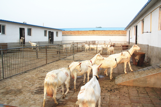 首页-SBOBET利记集团官方网站