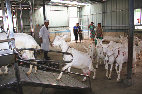 首页-SBOBET利记集团官方网站