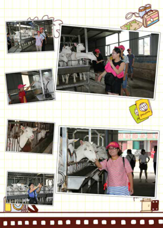 首页-SBOBET利记集团官方网站