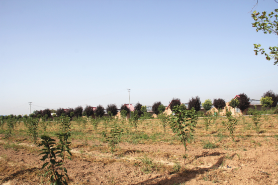 首页-SBOBET利记集团官方网站