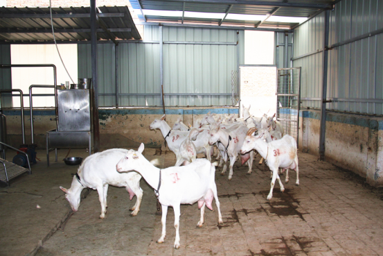 首页-SBOBET利记集团官方网站