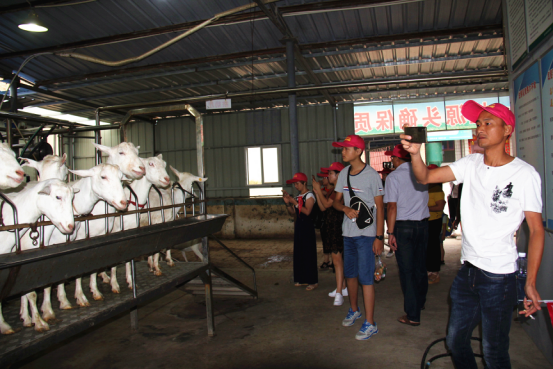 首页-SBOBET利记集团官方网站