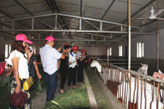 首页-SBOBET利记集团官方网站