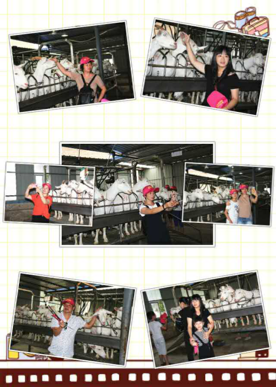 首页-SBOBET利记集团官方网站