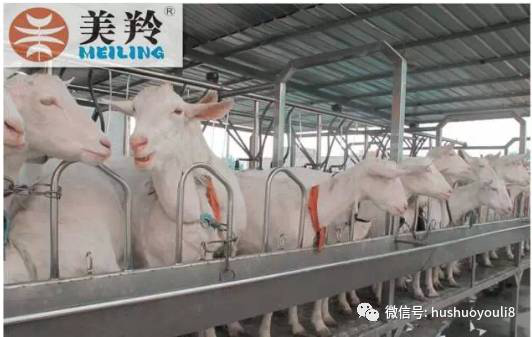 首页-SBOBET利记集团官方网站