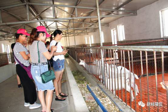 首页-SBOBET利记集团官方网站