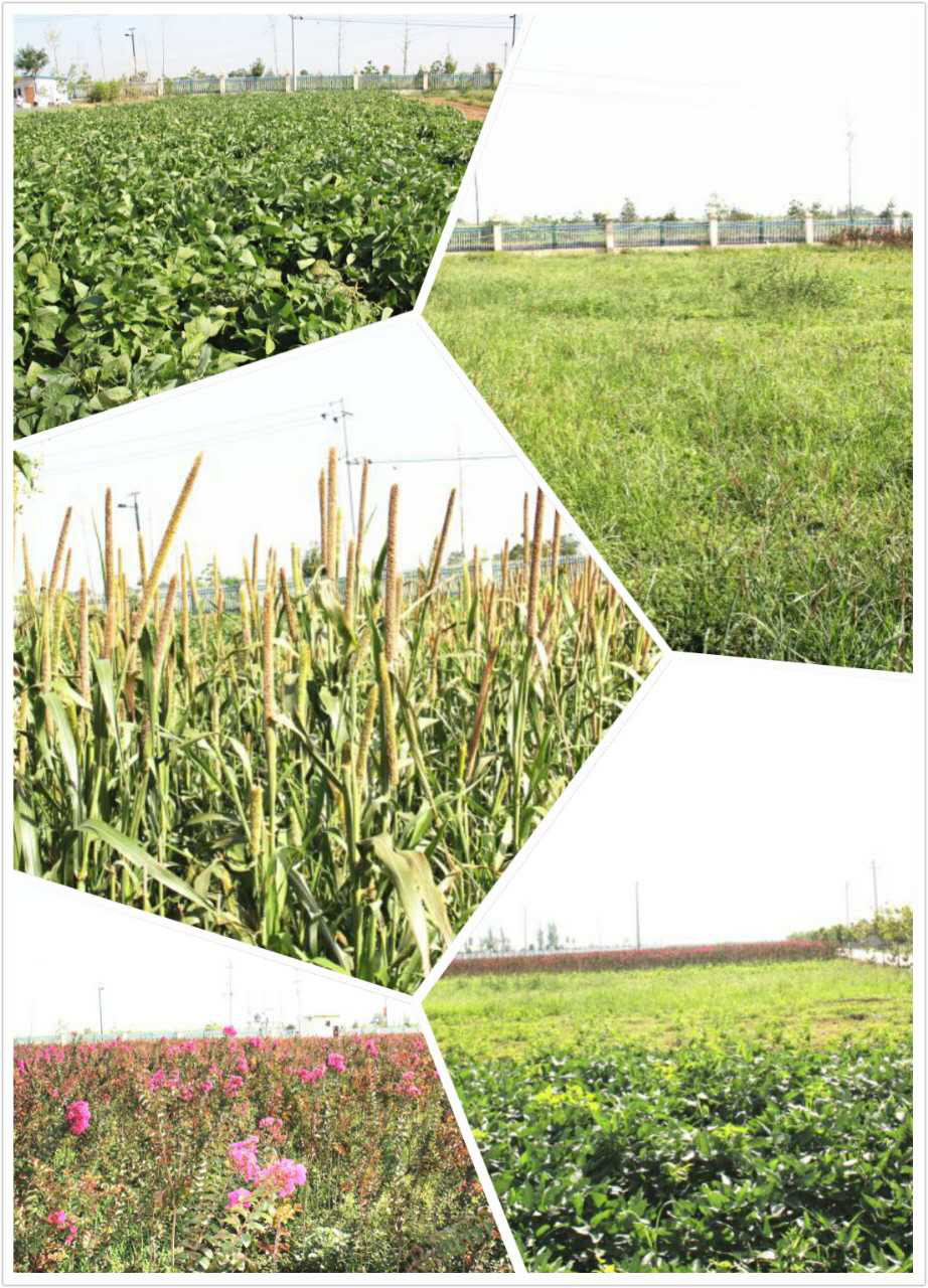 首页-SBOBET利记集团官方网站